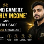 techno gamerz monthly income